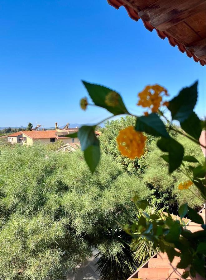 Casa Di Rosy Apartment San Sperate Bagian luar foto