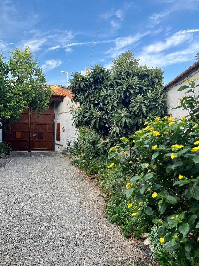 Casa Di Rosy Apartment San Sperate Bagian luar foto